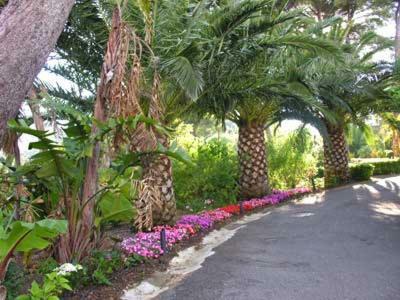 Appart. 4 Pers A 6 Kms De Cassis Avec Acces Piscine โรกฟอร์ต-ลา-เบดูล ภายนอก รูปภาพ